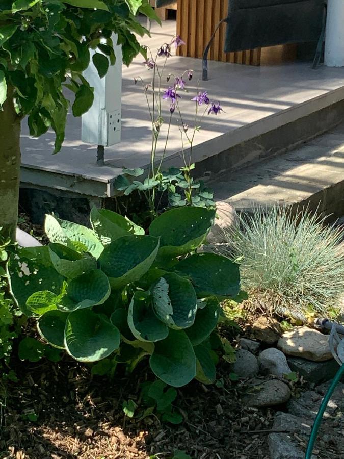 Haus 16 Ferienhaus Zwischen Salzburg Chiemsee Und Waging Am See Kirchanschoring エクステリア 写真